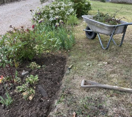 Clear Cut Gardens photo 1