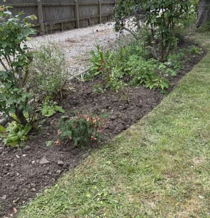 Clear Cut Gardens photo 2