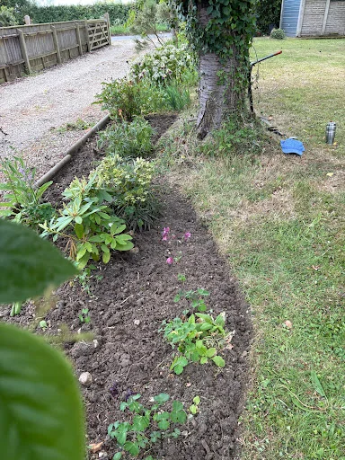 Clear Cut Gardens photo 4