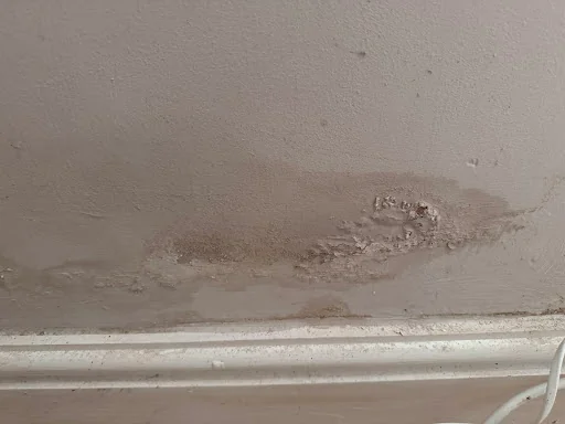 RESIDENTIAL PROPERTY SURVEYS LTD photo 2