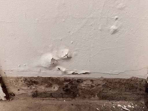 RESIDENTIAL PROPERTY SURVEYS LTD photo 4