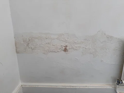 RESIDENTIAL PROPERTY SURVEYS LTD photo 5