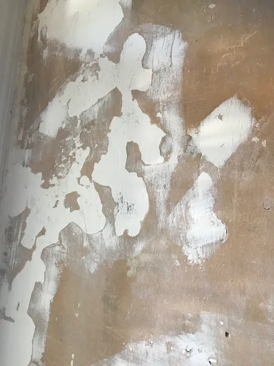 Advanced painting &amp; decorating photo 1