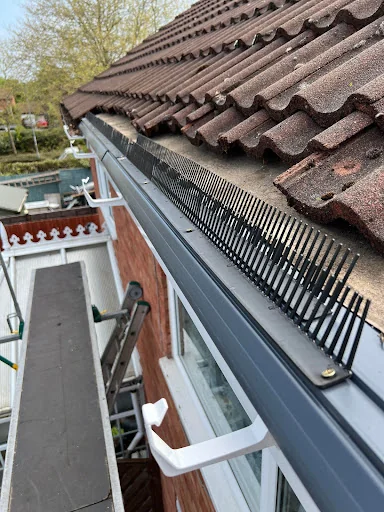 PPG Roofline photo 3