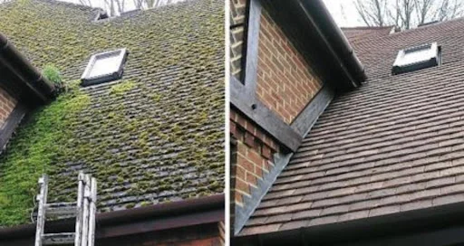 Local Roofing Specialist photo 1