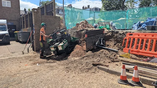 South East Tree works photo 5