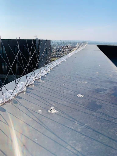Suttons Roofing photo 4