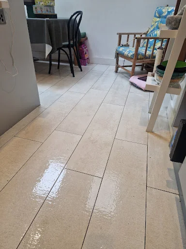 PRO Clean photo 2