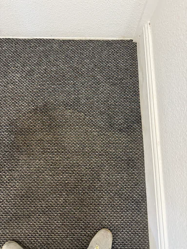 Spitspot Clean &amp; Co photo 3