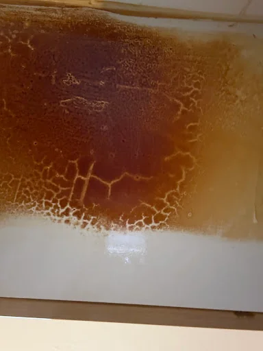 Spitspot Clean &amp; Co photo 6