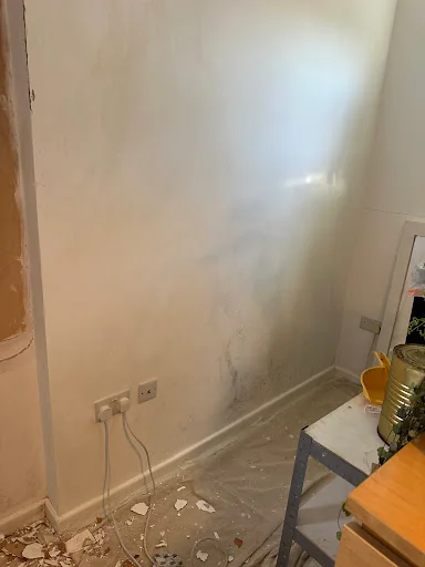 GSP PROPERTY MAINTENANCE LTD photo 2