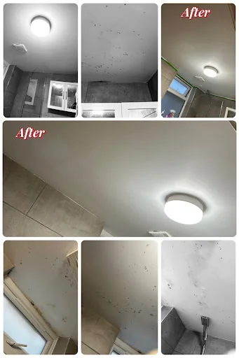 GSP PROPERTY MAINTENANCE LTD photo 5