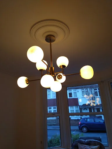 Blue Rose Electrics photo 4