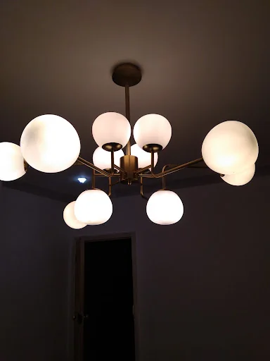 Blue Rose Electrics photo 5