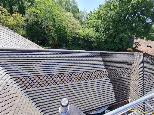 NEXGEN LANDCAPES &amp; EXTERIOR CLEANING photo 2