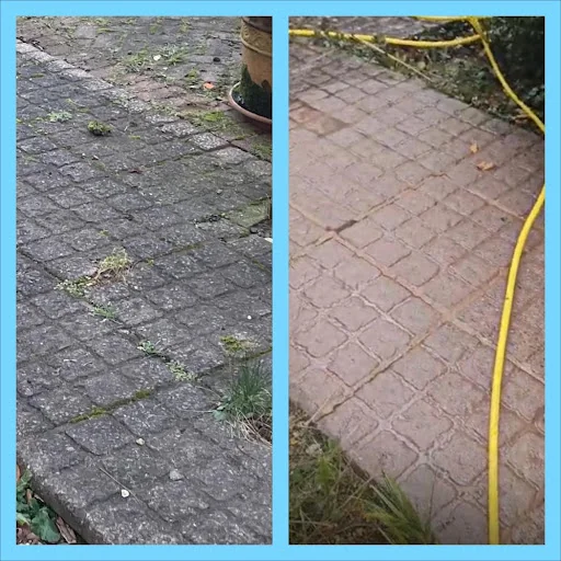 NEXGEN LANDCAPES &amp; EXTERIOR CLEANING photo 6