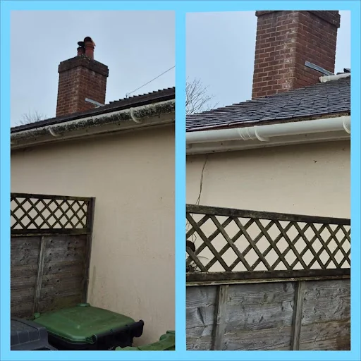 NEXGEN LANDCAPES &amp; EXTERIOR CLEANING photo 8