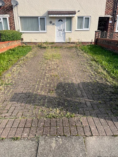 W.H Services photo 1