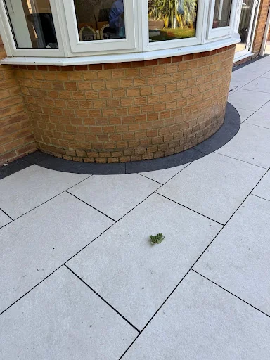 ProPave Landscapes photo 5