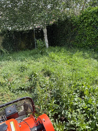 J&amp;L Landscaping &amp; Garden Services photo 4