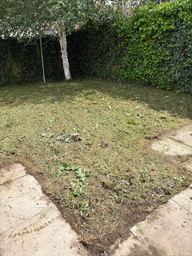 J&amp;L Landscaping &amp; Garden Services photo 5
