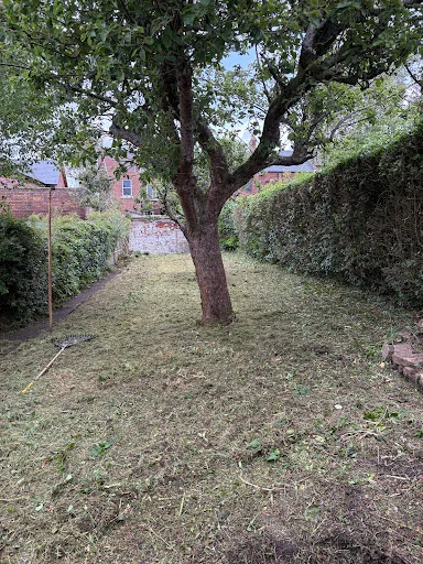 J&amp;L Landscaping &amp; Garden Services photo 6