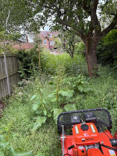J&amp;L Landscaping &amp; Garden Services photo 8