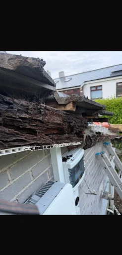 RB &amp; Sons Roofing Ltd photo 7