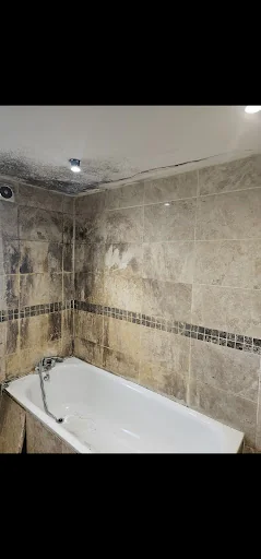 Doctor Grout photo 3