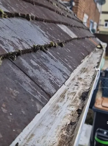JL Gutter Services photo 2