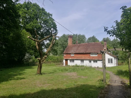 A R Garden Tree Care Ltd photo 5