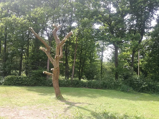 A R Garden Tree Care Ltd photo 6