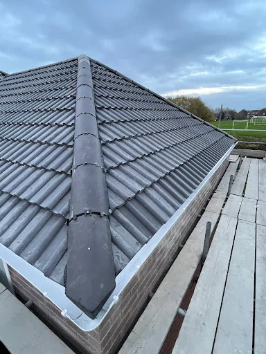 Rapid Roofline photo 3