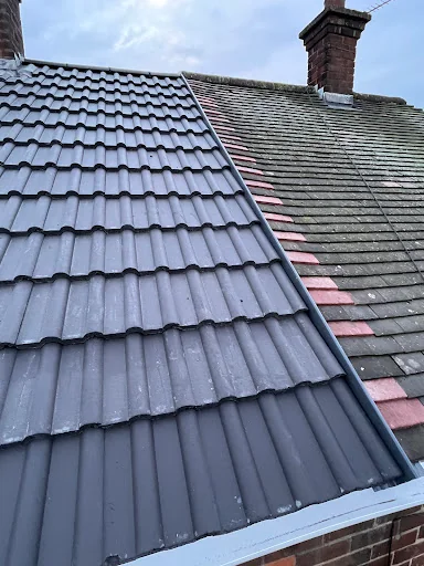 Rapid Roofline photo 4