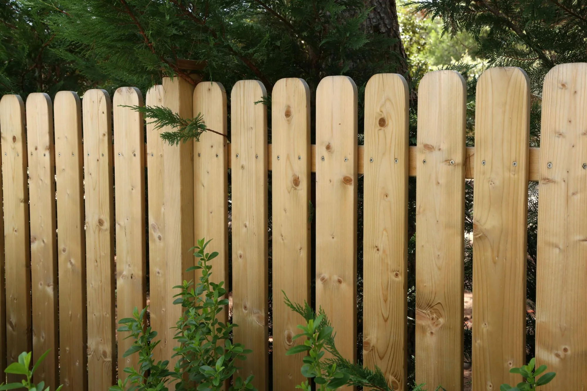 Landscaping, Fencing & Outdoor